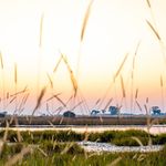 Sunsets from camp in the Delta